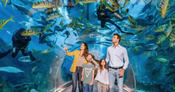 aquarium-and-underwater-zoo-dubai-2400x1260_nsfvpn.jpg