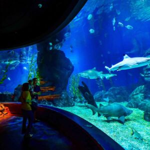 SEA LIFE Bangkok Ocean World
