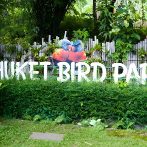 Andamanda Phuket + Phuket Bird Park