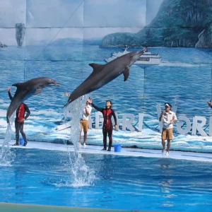 Safari World Bangkok - Safari Park + Marine Park Day Pass