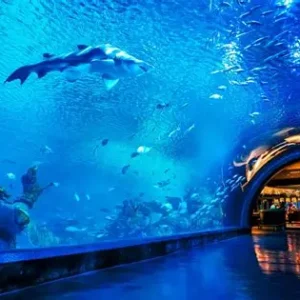 Aquaria Phuket